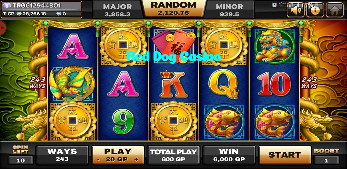 Red Dog Casino casino presented on mobile device in Pakistan with slots and live games